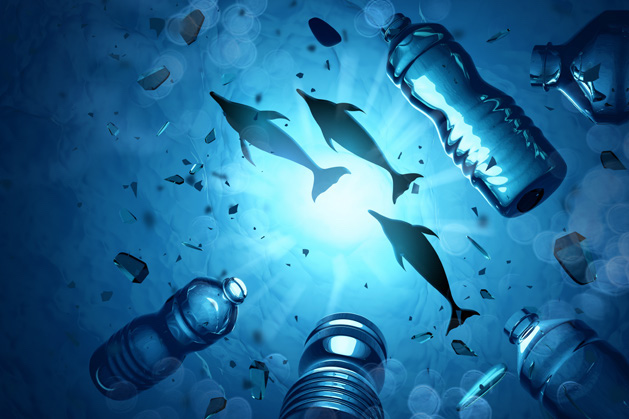 fish and plastic bottles in the sea